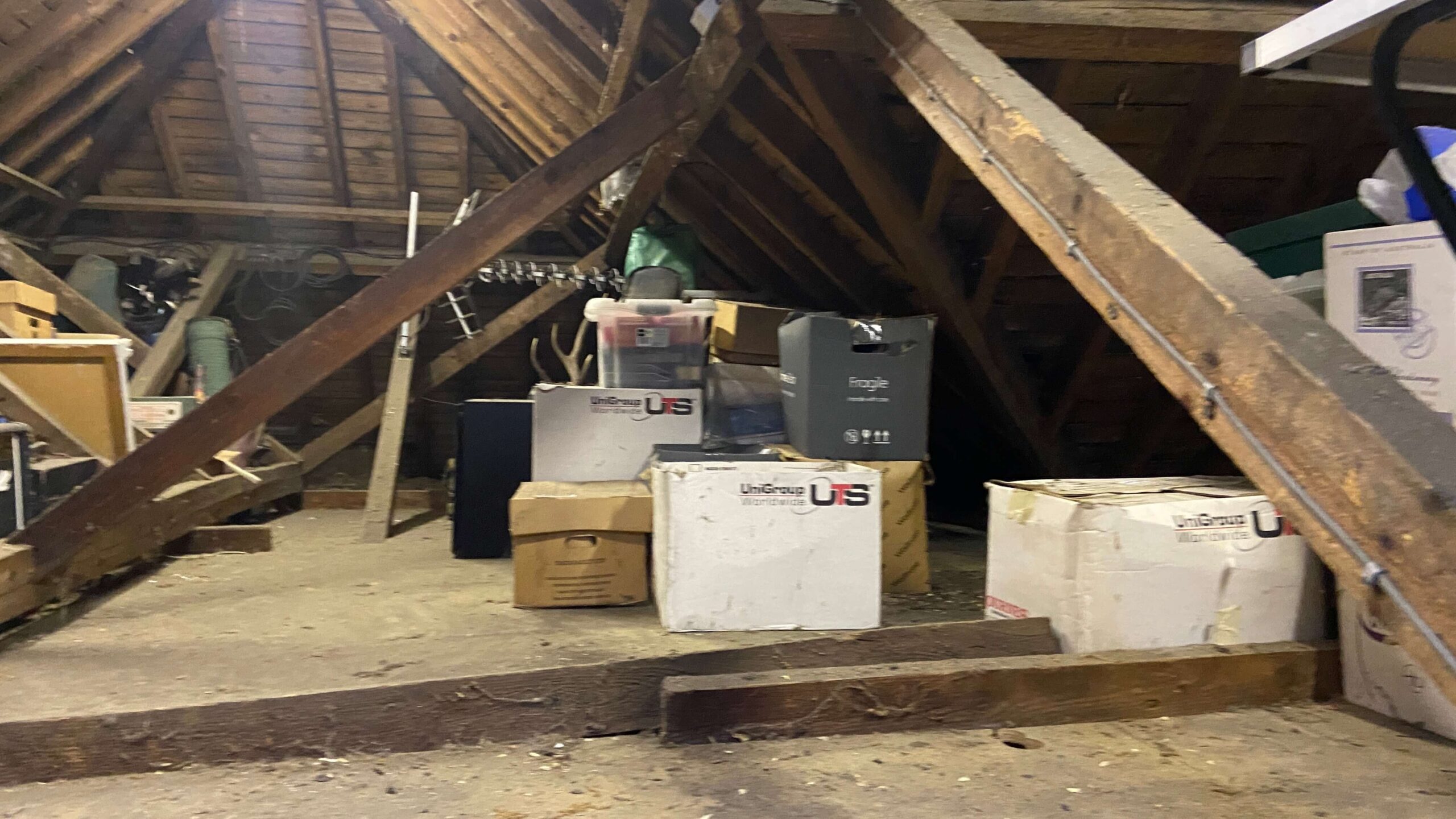 The Complete Guide to your Loft Space